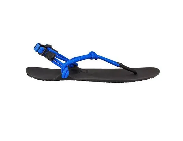 Xero Sandals - Genesis - Royal Blue - Men's